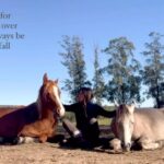 Rhona Mitra Instagram - Until we recognize the fact that our normalization of the subjugation, abuse and exploitation of any other being, race or species not only directly contributes, but manufactures the human malaise of supremacy, narcissism and psychopathy, we will all be at the pedal of the loom spinning the yarn that weaves the blanket of suffering that envelops us all. The food we eat. The words we speak (or don’t) The traditions, addictions and religions we grip onto (with bleeding knuckles) The lies we tell ourselves to justify our wants, beliefs and behaviors… If what we do to animals is what we do to ourselves…then we have an answer and the agency for most of our problems. Domestically, systemically, politically and environmentally. Macro and Micro. We are never powerless over our own choices or voices and how we set the example or raise our children. Grow them kindly. Grow them bravely. The world needs healers not more barbarians. Bodhi & Johnny #LightTrumpsDark #whatwedotoanimalswedotoourselves #Supremacy #subjegation #Narcissism #dominance #abuse #listen #Courage #light #moralcompass @thelastarkorphanage