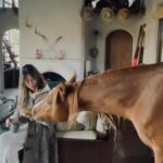 Rhona Mitra Instagram - Eternal Sunshine of the Spotless mind…. When a 450kg wild child in fluffy pajamas saunters in to schnarf your breakfast… (Because caring is sharing…right?✨) Bodhi was en route to being sold for Endurance racing. Hes a powerful big boy. Arabian pure blood built for long distances and hugely tenacious and adaptable in spite of what many like to believe. When I found him and his BFJohnny they had been neglected and starved full of parasites, and yet his ‘owner’ from a very well known family and Estancia would keep breeding and selling regardless of the state they were in. Most of his herd unsurprisingly died. We have now lived like family for 7 years…coming and going as they please. No ‘spooky’ business equestrians talk about, simply because they are raised without demands or fear, free to roam as they please with the herd, of which we are part of to them..✨ When we meet animals regardless of the ‘breed’ or their ‘potential’ with no agenda and with respect and patience they have the ability, if they deem us worthy, to grant us passage through an invisible portal into a world that most can only imagine in our dreams. ✨ This inexplicable gift will always outweigh any medal or accolade. There simply is no greater reward or honour than knowing this love…. And the moral of the story is… when we learn to learn to live and let live… and treat all beings as equals, the story of supremacy, slavery and suffering will finally come to an end. But not until then. @thelastarkorphanage #whatwedotoanimalswedotoourselves #liveandletlive #endsubjigation