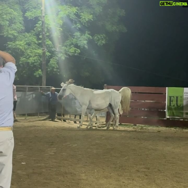 Rhona Mitra Instagram - Last night at midnight, Lucky 6 were placed in their pen awaiting their future. They dont know it yet but every day from here-on-in they will roam pastures, climb mountains and sip from fresh water streams together and live a life free of pain and subjugation as all horses should… With our collective efforts yesterday we managed to pull - 2 Mares 3 foals (2 male/1 female) 1 adolescent male Two will require castration, 5 will need fattening with alfalfa, they all require vaccines,antiparasite meds and hoof care, and two are completely raw so will need basic ‘taming’ as will be tough to handle (but its the young wild ones that rarely stand a chance and we didnt want to see the slaughterhouse take anymore.) We managed to push the price up on several others, too high for the meat market thankfully, but for now from what we raised and what we need for their care ahead this is what we could justify. So, to EVERYONE who contributed, I hope you feel warmth in your hearts for being part of their journey. We/they can not thank you enough. We’re on 3 hours sleep and off to collect them with the truck as we speak… So if you want to follow their journey please do so on @thelastarkorphanage 🛻 💨 🐴 💪🏾