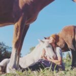 Rhona Mitra Instagram – Home is within me…
@thelastarkorphanage
Poseidon
#AGentleRemembering
The Art of Human Taming
#domahumana
#AKinderWay