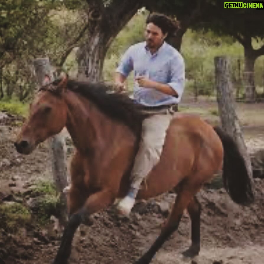 Rhona Mitra Instagram - Adaptado del pueblo indígena Ranquel de Argentina, Scarpati Horsemanship es una forma única de entrenamiento de caballos que enfatiza la conexión, la comprensión y la confianza mutua entre el caballo y el ser humano. ✨ Oscar y Cristóbal Scarpati son venerados por su dominio de la “Doma India”, un antiguo estilo indígena argentino de entrenamiento de caballos que encarna una filosofía de respeto mutuo y comprensión entre caballo y humano.✨ Una clínica inmersiva acerca del caballo con dos de los expertos más reconocidos de Argentina, organizada en el santuario The Last Ark. Reimaginando la asociación entre el hombre y el caballo.✨ Los esperamos para disfrutar de tres días transformadores en los que atravesaremos un portal para compartir otra forma… una forma más amable… de asociarnos con la tierra y los caballos…. 17 al 19 de mayo contacto rewild@thelastark 598 99 326 714 para cualquier detalle enlace en biografía ⬆️ 🔗 Link in bio @cristobal_scarpati @scarpatidomaindia @oscar.scarpati @thelastarkorphanage