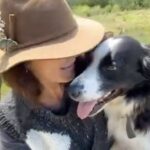 Rhona Mitra Instagram – We did it 💪🏾

Takes a small and wonderful Army but the boys are booked on their flights and heading south!

Truly, with all the horrors going on around the world right now, to those who have helped set Ludo and Aubie free so they can live a life they deserve, we thank you. 

There ARE Angels and beautiful humans out there. 
Thank you for showing up. 

The attempted legal injunction failed as of today so these boys were definitely on the chopping block as will be tens of thousands others who are not even XL Bully’s. 

We still have a way to go. There are crates, trucks, vet checks, planes, boats and customs to all contend with but by early January those boys will be living the dream. 

Dog runs are being built and houses also. 
Their aftercare including castrations and food (big lads) we can always do with help with. 
(Link in bio 😚)

Please follow their journey and know you’re part of our Orphanage wherever you are. 

And for those who are pro this ban you can shove it right where sun clearly doesn’t shine 
🖕🏾

@thelastarkorphanage 
#whatwedotoanimalswedotoourselves

#savethebullies
