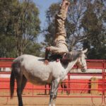 Rhona Mitra Instagram – Adaptado del pueblo indígena Ranquel de Argentina, Scarpati Horsemanship es una forma única de entrenamiento de caballos que enfatiza la conexión, la comprensión y la confianza mutua entre el caballo y el ser humano. ✨
Oscar y Cristóbal Scarpati son venerados por su dominio de la “Doma India”, un antiguo estilo indígena argentino de entrenamiento de caballos que encarna una filosofía de respeto mutuo y comprensión entre caballo y humano.✨
Una clínica inmersiva acerca del caballo con dos de los expertos más reconocidos de Argentina, organizada en el santuario The Last Ark.
Reimaginando la asociación entre el hombre y el caballo.✨
Los esperamos para disfrutar de tres días transformadores en los que atravesaremos un portal para compartir otra forma… una forma más amable… de asociarnos con la tierra y los caballos….
17 al 19 de mayo
contacto rewild@thelastark
598 99 326 714
para cualquier detalle
enlace en biografía ⬆️ 🔗
Link in bio
@cristobal_scarpati @scarpatidomaindia @oscar.scarpati @thelastarkorphanage