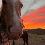 Rhona Mitra Instagram – My flux capacitors 💡 

Sanity 
Sanctity 
Sanctuary 

#Equinealchemy
#SuperiorBeings

#rescuerewildrememberrehabilitate

@thelastarkorphanage