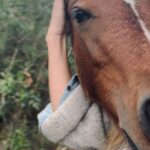 Rhona Mitra Instagram - “The world changes according to the way people see it, and if you alter, even by a millimeter, the way people look at reality, then you can change it.” Natures Infirmary Autumn 🍂 🐴 🩶🌱 🐕 🍄‍🟫 @thelastarkorphanage