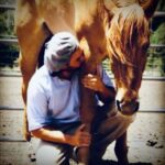 Rhona Mitra Instagram – Adaptado del pueblo indígena Ranquel de Argentina, Scarpati Horsemanship es una forma única de entrenamiento de caballos que enfatiza la conexión, la comprensión y la confianza mutua entre el caballo y el ser humano. ✨

Oscar y Cristóbal Scarpati son venerados por su dominio de la “Doma India”, un antiguo estilo indígena argentino de entrenamiento de caballos que encarna una filosofía de respeto mutuo y comprensión entre caballo y humano.✨

Una clínica inmersiva acerca del caballo con dos de los expertos más reconocidos de Argentina, organizada en el santuario The Last Ark.
Reimaginando la asociación entre el hombre y el caballo.✨

Los esperamos para disfrutar de tres días transformadores en los que atravesaremos un portal para compartir otra forma… una forma más amable… de asociarnos con la tierra y los caballos….

17 al 19 de mayo
contacto rewild@thelastark
 598 99 326 714
para cualquier detalle

enlace en biografía ⬆️ 🔗 
Link in bio 

@cristobal_scarpati @scarpatidomaindia @oscar.scarpati @thelastarkorphanage