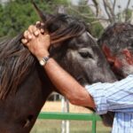 Rhona Mitra Instagram – Adaptado del pueblo indígena Ranquel de Argentina, Scarpati Horsemanship es una forma única de entrenamiento de caballos que enfatiza la conexión, la comprensión y la confianza mutua entre el caballo y el ser humano. ✨

Oscar y Cristóbal Scarpati son venerados por su dominio de la “Doma India”, un antiguo estilo indígena argentino de entrenamiento de caballos que encarna una filosofía de respeto mutuo y comprensión entre caballo y humano.✨

Una clínica inmersiva acerca del caballo con dos de los expertos más reconocidos de Argentina, organizada en el santuario The Last Ark.
Reimaginando la asociación entre el hombre y el caballo.✨

Los esperamos para disfrutar de tres días transformadores en los que atravesaremos un portal para compartir otra forma… una forma más amable… de asociarnos con la tierra y los caballos….

17 al 19 de mayo
contacto rewild@thelastark
 598 99 326 714
para cualquier detalle

enlace en biografía ⬆️ 🔗 
Link in bio 

@cristobal_scarpati @scarpatidomaindia @oscar.scarpati @thelastarkorphanage