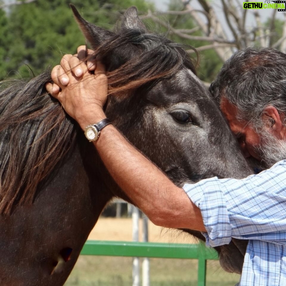 Rhona Mitra Instagram - Adaptado del pueblo indígena Ranquel de Argentina, Scarpati Horsemanship es una forma única de entrenamiento de caballos que enfatiza la conexión, la comprensión y la confianza mutua entre el caballo y el ser humano. ✨ Oscar y Cristóbal Scarpati son venerados por su dominio de la “Doma India”, un antiguo estilo indígena argentino de entrenamiento de caballos que encarna una filosofía de respeto mutuo y comprensión entre caballo y humano.✨ Una clínica inmersiva acerca del caballo con dos de los expertos más reconocidos de Argentina, organizada en el santuario The Last Ark. Reimaginando la asociación entre el hombre y el caballo.✨ Los esperamos para disfrutar de tres días transformadores en los que atravesaremos un portal para compartir otra forma… una forma más amable… de asociarnos con la tierra y los caballos…. 17 al 19 de mayo contacto rewild@thelastark 598 99 326 714 para cualquier detalle enlace en biografía ⬆️ 🔗 Link in bio @cristobal_scarpati @scarpatidomaindia @oscar.scarpati @thelastarkorphanage
