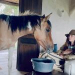 Rhona Mitra Instagram – Mums home 

mi establo tu establo 

Little Blossom
@thelastarkorphanage