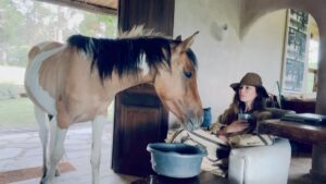 Rhona Mitra Instagram - Mums home 

mi establo tu establo 

Little Blossom
@thelastarkorphanage