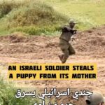 Rhona Mitra Instagram – So apparently G-zan dogs are now justifiable threats along with livestock, babies the elderly and in fact ALL innocent Beings… 

Because stealing a puppy from its mother while laughing like deranged hyenas is really about defending your country??

Utter malicious, sadistic, psychotic sickness.

Most moral army in the world?
Peace seekers, they say? 
With antics like these.. they only make an enemy out of the entire world while simultaneously exposing the true nature of this endless deranged display of barbaric supremacy and narcissism.

Nice work 👍🏽

And while easily one of the tamer images I’ve seen this week alone, cognizant to not overindulge the trauma porn, I think we’re all getting the gist, even  those with heads planted in the sand.
This is a whole new breed of evil manufactured and cultivated by the outstanding cult of Z.

A live case study on NPD en mass…
Repost and share because the algorithm will mute.