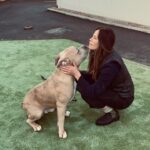 Rhona Mitra Instagram – Sometimes words just fail me…

The result of today’s visit to meet these perfect creatures with the incredible dog wardens of Coventry was shattering. 
And what I saw was only I tiny glimpse of the greater discard and massacre that is about to take place from Jan 1st 2024 onwards. 

I am in absolutely no position to be taking any of these dogs but simply can’t leave them all behind. 
As a result we tentatively did a personality test on two young XL males that I could possibly/hopefully fly back to the sanctuary before the 31st. 
But it would be by skin of teeth. 

With the help of a few people we are working behind the scene with microchips and vaccines and shipping logistics. On with customs at every boarder to see how we can get these beautiful boys down to the farm where they can live a life they deserve. Unmuzzled, off-leash, In nature, free to be dogs. 

This is going to depend on many factors but the ball is rolling. 

Come Dec 31st if these boys and thousands like them are not taken out the country as we are doing their fate is a life permanently on leash and muzzled with the branding of a criminal or straight up execution. 

January 1st will be a bloodbath across England.

I hope you’re proud @rishisunakmp you spineless gimp of a human. 
Enforce a ban on the breeding of ignoramus’ like yourself and the country and its far greater underlying issues of systemic neglect, betrayal and abuse and its myriad symptoms might be resolved.
This temporary moment of flexing will only backfire as you only give permission to more vitriol, pain and polarization. 
Nice work. 💪🏾

Anyone wanting to help and support us getting these baby boys out and off to a good start at a proper life, you can through @thelastarkorphanage link in bio. 
We need all the help we can get to get this done. 
Let’s get these boys out so they can be the poster kids for their kind.

Come on team Human, let’s do a good thing 🩶

Link to help in Bio 
#ForTheLoveOfBullies #XLBully