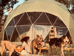 Rhona Mitra Instagram - “The world changes according to the way people see it, and if you alter, even by a millimeter, the way people look at reality, then you can change it.”

Natures Infirmary 

Autumn 🍂 🐴 🩶🌱 🐕 🍄‍🟫 

@thelastarkorphanage