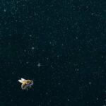 Rhona Mitra Instagram – Join us aboard @thelastarkorphanage as we 
Voyage towards the shores of ‘A Kinder Way’ 
Of partnering with land and animal …
⛵️ 🐴 🌿🍄‍🟫🩶🤲🏾

3 transformative days where we get to step through the portal to harness another reality….One of listening, trust and mutual respect… 
with these elements in place..the possibilities are infinite…. 

Explora una forma mas amable🩶

DE CONECTAR CON LA TIERRA Y LOS ANIMALES..

ÚNETE –
A OSCAR Y
CRISTOBAL SCARPATI
– JUNTO –
NUESTRA MANADA DE
CABALLOS REWILDED

Capacidad limitada

17- 19 Mayo
🩶

@cristobal_scarpati 
@oscar.scarpati 
@scarpatidomaindia 

Link in bio

#DomaHumana 
#TameYourselfLifewillFollow