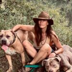 Rhona Mitra Instagram - Dragons and Unicorns acclimating beautifully… Just some snippets of the last week to show how Ludo and Auberon our ‘killer Bullies’ are blending into our pack of dogs and 36 horses and foals, wildlife, rivers and massive temperature shift. Not one snap, growl, lip curl or hair on end…. From anyone…. (Except from Miss Mushroom when Aubie tries to hump her… cus shes so damn cute 🍄 ) Only curiosity, initial excitement and bewilderment at all the new sights, smells and sounds…. This is not coming without daily work but 70% of the work is done by the fact a)they are both incredible dogs and b)our family here is already stable, loving, clear and consistent. Cant tell you how much sweetness (and slobber) these boys have brought to the lives of everyone they have met so far… and just makes my blood boil and heart break to think the UK government wanted them dead. Shame on 🇬🇧 🏴󠁧󠁢󠁳󠁣󠁴󠁿 and anyone out there pro this ban and archaic tarring of brush. They both would be dead had we not intervened. Like thousands of others who weren’t and wont be so lucky. We all did a pretty spectacular thing making this happen so again thank you to all who chipped in… the kids are more than alright they are phenomenal… And to all our rascal pups and horses who are the best teachers of the lot of us we love you all more than butter and spuds! #AuberonandLudo #MisfitsAreUs #bulliesofinstagram #saveourbullies @thelastarkorphanage