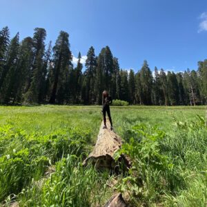 Rhyon Nicole Brown Instagram - Do not dwell in the past. Do not dream of the future. Concentrate the mind on the present moment. -Buddha