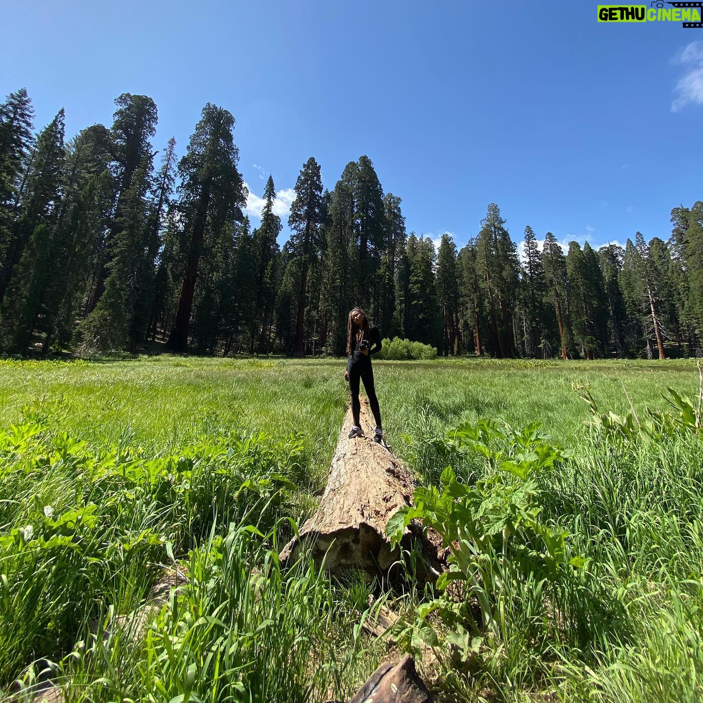 Rhyon Nicole Brown - 8K Likes - Do not dwell in the past. Do not dream of the future. Concentrate the mind on the present moment. -Buddha