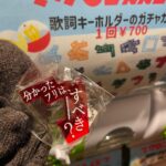 Rie Kitahara Instagram - みろくの里の イルミネーション観てきました☪️ 雪もちらつく中だったので 寒かったけど とても綺麗だったし 大好きなマカロニえんぴつとコラボしていて 幸せ空間でした🤍💫 光る飴かわいい🍭 マカえんの歌に合わせてあがる花火も 本当に素敵だった…🎆 冬の花火っていいね☺︎ (土日だけ花火が上がるっぽい!) @mirokunosato.official @macaroniempitsu_official