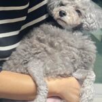 Rihey Instagram - 🖤😎 #선글라스참좋아하는애🙋🏻‍♀️