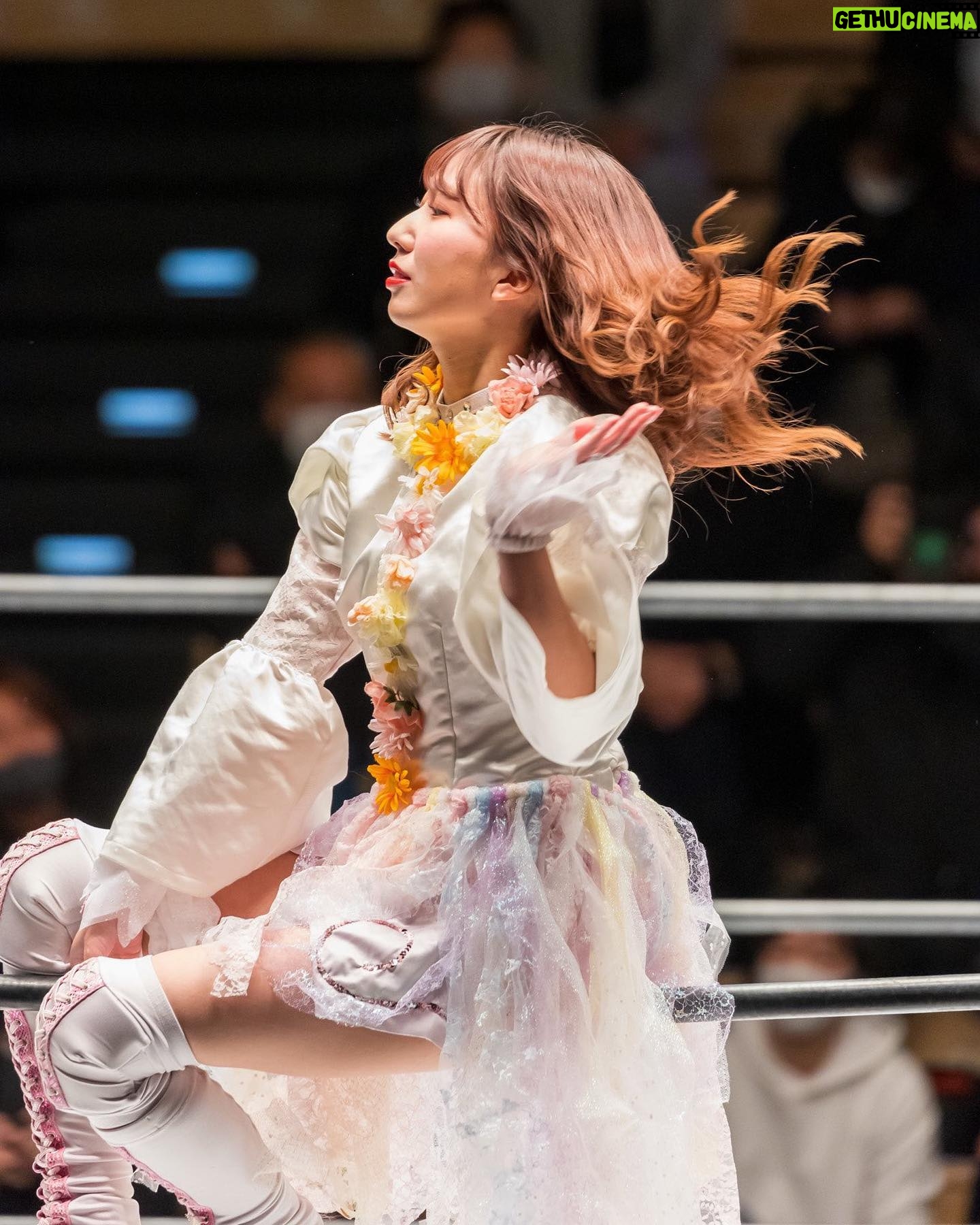 Riho Hime - 4.6K Likes - #STARDOM