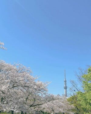 Riho Nakamura Instagram - 春を感じてきた〜！
🌸🌷🌼🪻