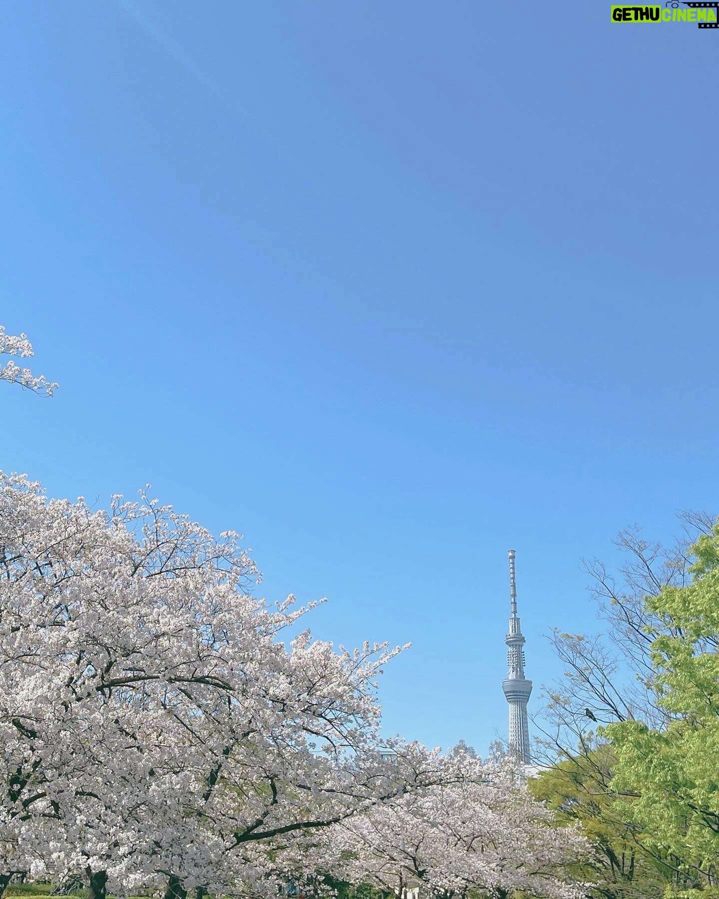 Riho Nakamura - 3.6K Likes - 春を感じてきた〜!
🌸🌷🌼🪻