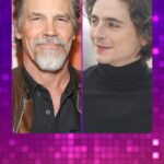 Riki Lindhome Instagram - who amongst us doesn’t have a binder full of Timothée Chalamet poetry
