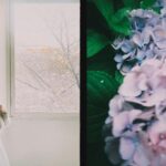 Rikka Ihara Instagram - ❀✿▷▶︎𓈒𓍯⋆̩☂︎