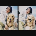 Rikka Ihara Instagram - 明日8時から ABC『朝だ！生です、旅サラダ』 山口県長門市です。みてね。