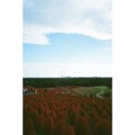 Riko Instagram - 🎞️