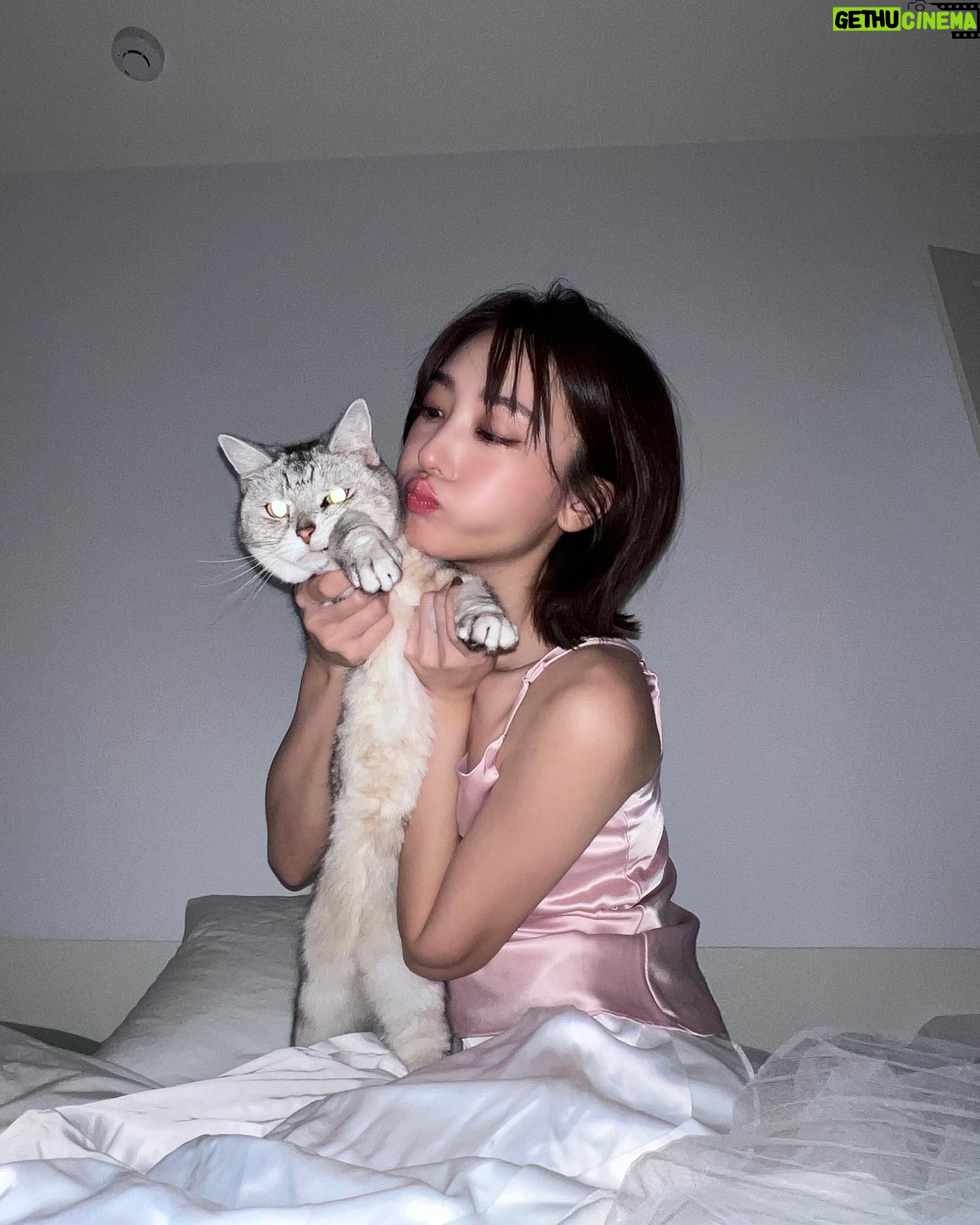 Riko Xi - 9.6K Likes - ēę„ē„ē¦é½ę¶å°äŗš«§š§øāØ