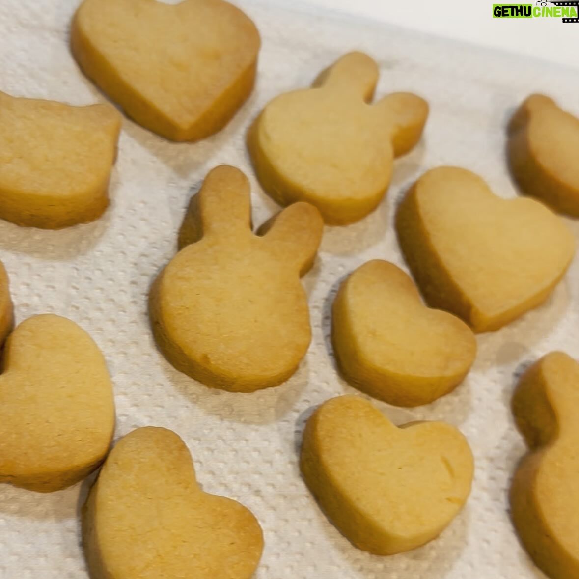 Rin Kurusu - 3 Likes - 🐰🍪