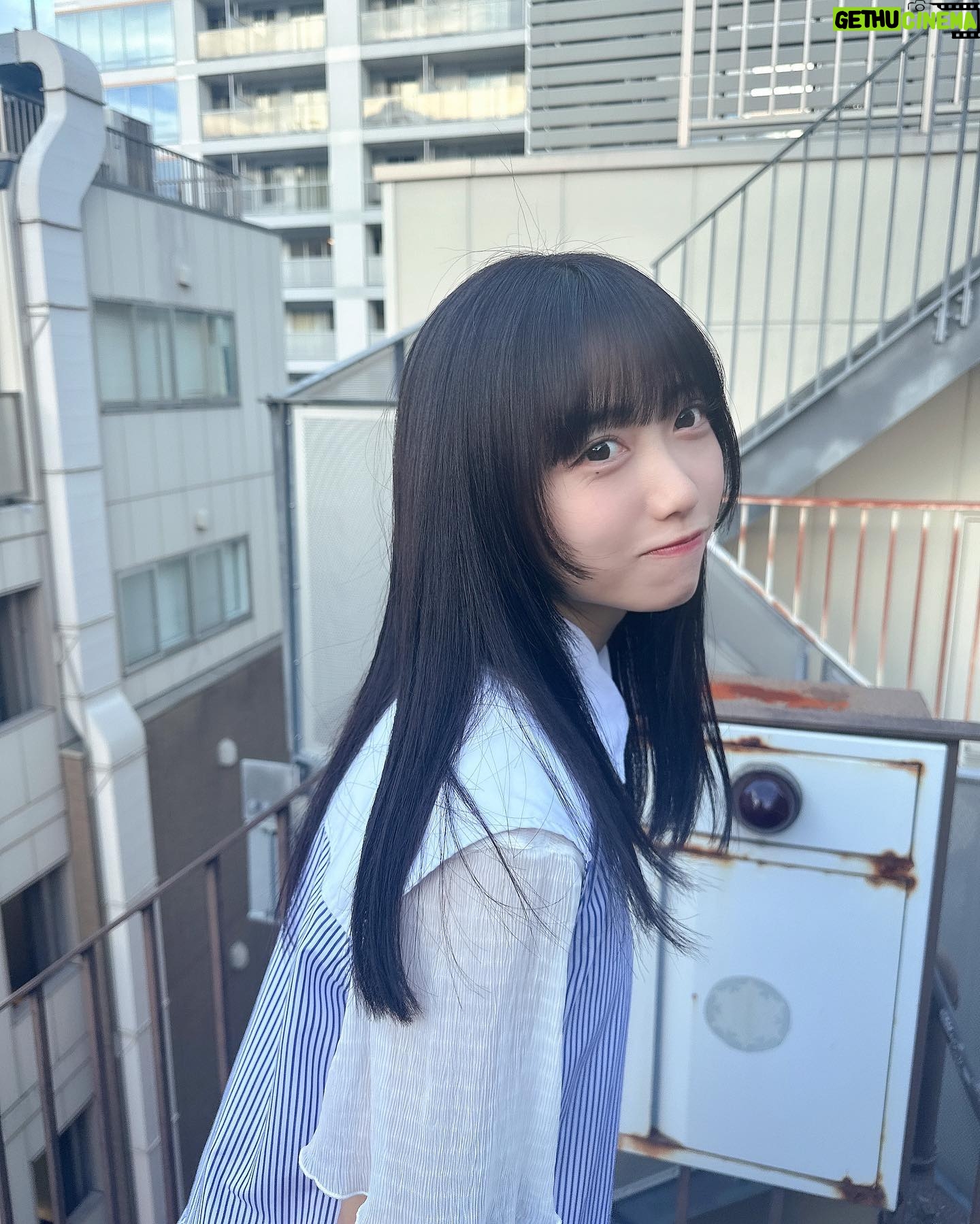 Rin Kurusu Instagram - 毛先ぱっつんにして控えめ姫カットにしてもらいました🪿