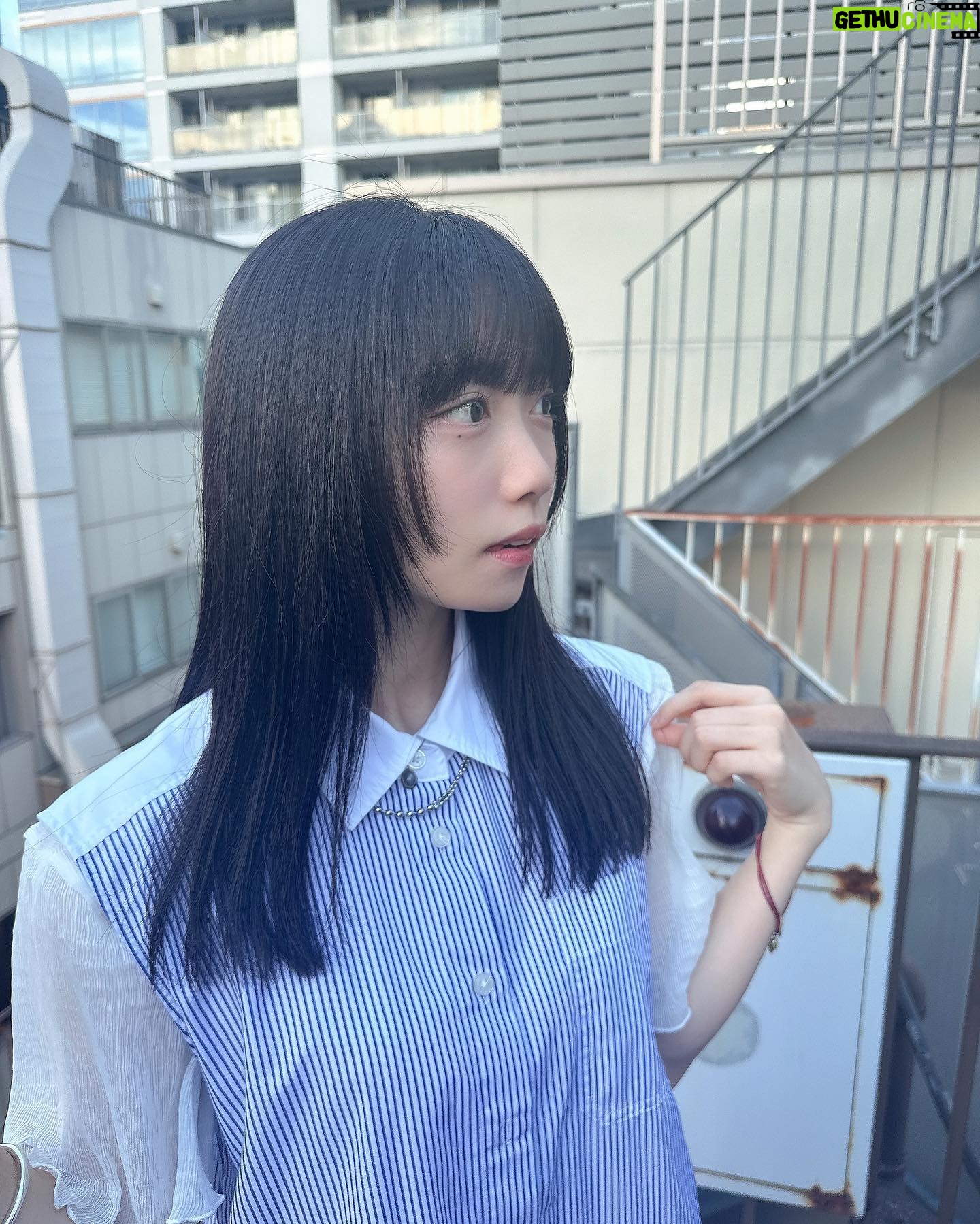 Rin Kurusu Instagram - 毛先ぱっつんにして控えめ姫カットにしてもらいました🪿