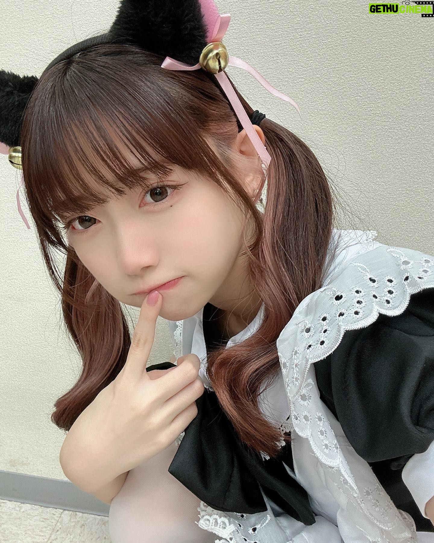 Rin Kurusu - 3 Likes -