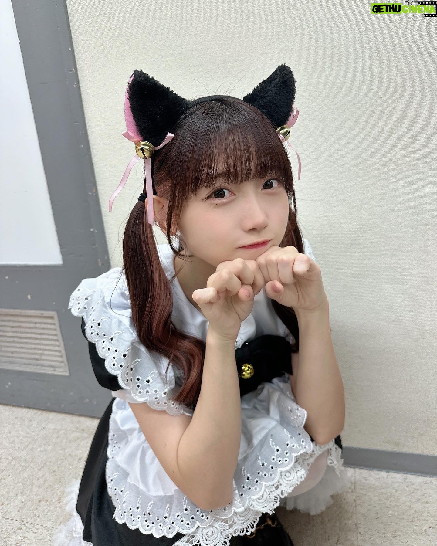 Rin Kurusu - 3 Likes - 🐈⬛