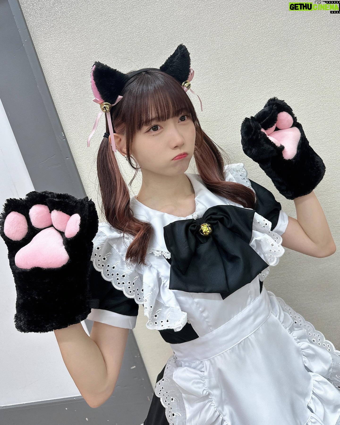 Rin Kurusu - 3 Likes - 🐈⬛