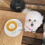 Rin Takanashi Instagram – ぱんちゃんは、今日も、げんき( ◠‿◠ )