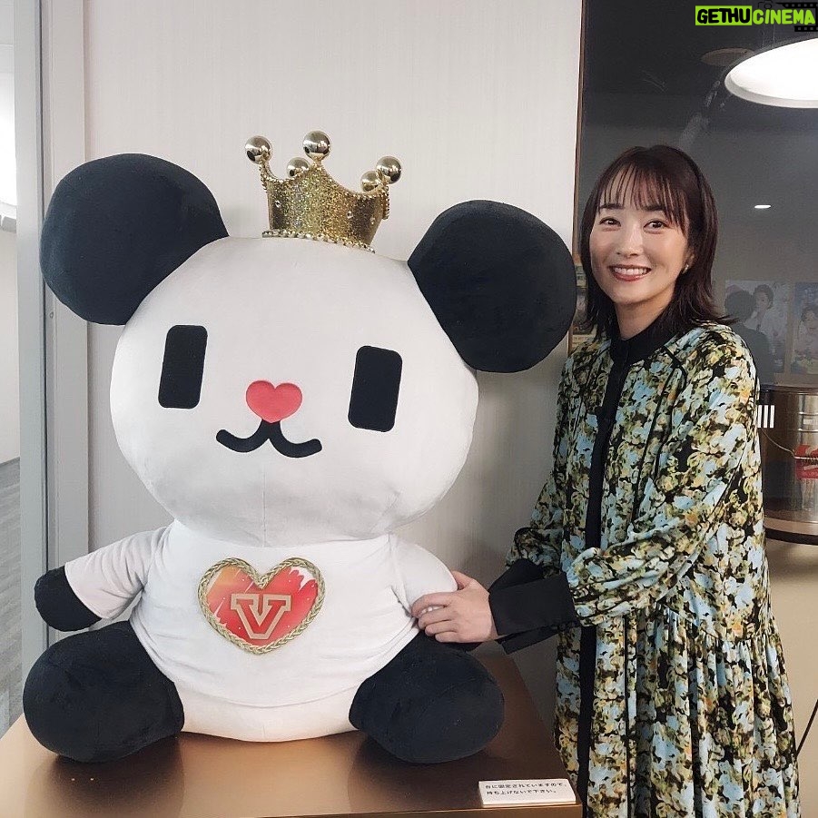Rin Takanashi Instagram - 今夜7時から放送のテレビ朝日「今聴きたい!昭和の名曲 心にしみる恋愛ソングTOP60」 にゲストMCとして出演しています。 昭和生まれの方も平成生まれの方も、みなさん楽しめる名曲が盛り沢山です。 是非ご覧ください😎 ゴーちゃん。と写真撮ってもらいました🦝