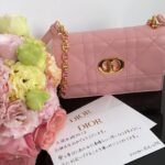 Rinka Kumada Instagram - 早く春になって欲しいと感じる心踊るピンク🌸 これからも大切に使っていきたい🕊️ Thank you Dior♡