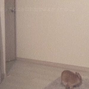 Riria Instagram - ホワイトアウト/ReGretGirl
