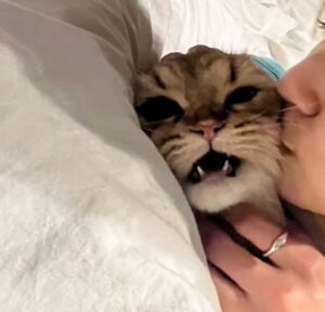 Riria Kojima Instagram - 色々まず行動〜をしてみて
初めての一歩をたくさん踏んで

総じて豊かで、
大切なものも増え、
今も幸せ〜🍊⏳

そういう時間を抱きしめて
あっためていこう。そう思います。

たのしかったよ2023。
ありがとうございました。

良いお年を。

.
※金髪はちょい前、
これでL.Aにひとり飛びました✈️
またちゃんと載せるね
最高だったよーーー

#あもとお揃い👩🏼🫰🏻