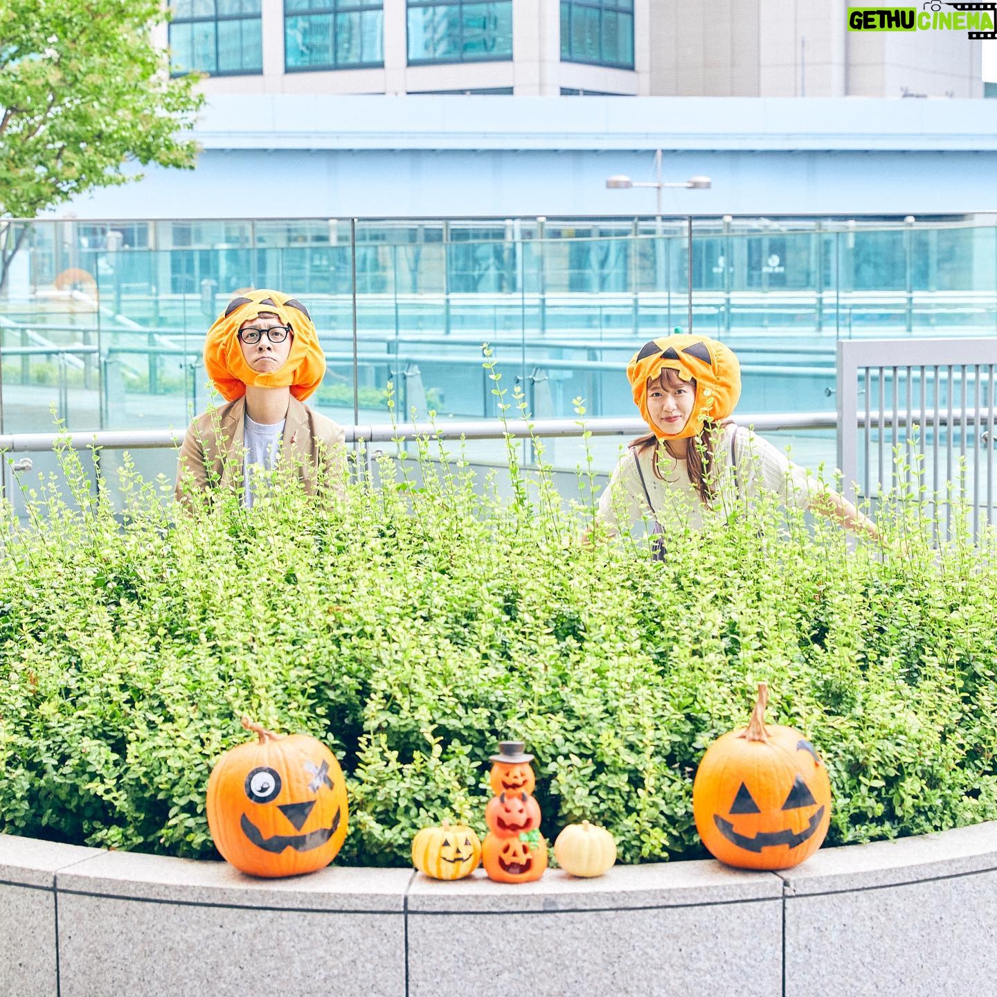 Risa Ozaki - 12.4K Likes - 夏休みから戻ってきました!
遅ればせながら、10月からバゲットファミリーに加わった、小髙茉緒アナ🌼ショートが凛々しく、眩しい!!
そして10月といえばハロウィーン、かぼちゃ…ということで、食べずに、被りました🎃笑
照れているように見せかけて、ノリノリです。
(with平松)
4年目を迎えたバゲットもよろしくお願い致します!!
.
#小髙茉緒 アナ
#爽やかショートガール🌿
#早いことにバゲットも4年目
#皆さまありがとうございます✨