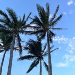 Risa Nakamura Instagram - 🏝️