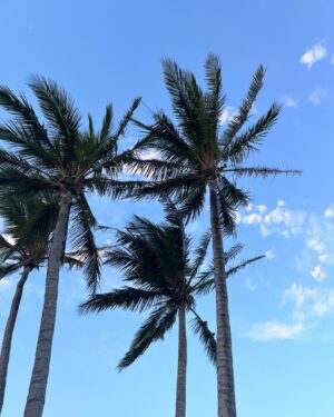 Risa Nakamura Instagram - 🏝️