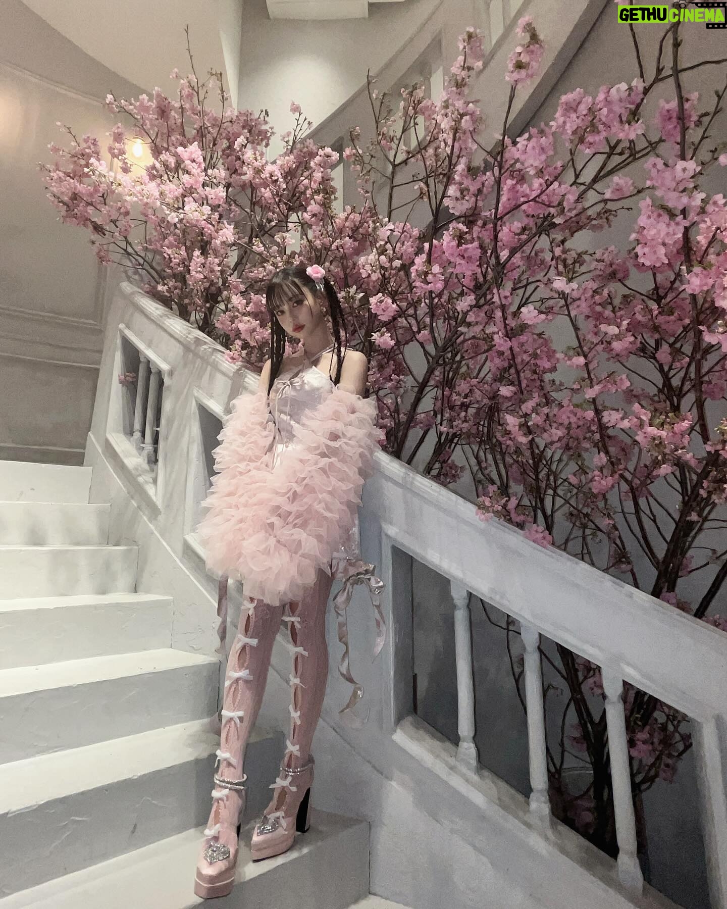 Risa Nakamura - 9.7K Likes - 昨日はぺしぇ初のイベントPECHE_partyでした🌸
細部までこだわり尽くしたPECHEの世界で、つくる側の熱量も、来てくれた皆さんの暖かさも、愛が伝わりすぎる大充実な一日でした!
ファッションショーもトークセクションも楽しかった〜🎀
会いに来てくれてありがとうございました🌷