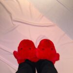Risa Watanabe Instagram – ❤️🌹
