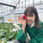 Risa Watanabe Instagram - いろいろ~~🌀🍋
