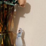 Risa Watanabe Instagram - ファンクラブグッズ TシャツはM〜XLの3サイズあります☺️ わたしが着用しているのはLサイズです。 大きめのサイズ感で、インでもアウトでご着用いただけます〜！ ステッカーはAセット、Bセットの2種類です！ お好きな場所にペタペタと貼ってみてください🪻🪻 アクスタもぜひお家に飾ってね🤍 イベントに持ってきてくれるのも嬉しい！！💃 グッズは全て9/10、23:59までの販売となります⚠️ プロフィールのリンクから是非チェックお願いします〜☑︎