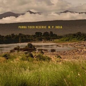 Rishina Kandhari Instagram - Thanks @pugdundeesafaris ‘s @kenriverlodge for giving me a unique and immersive experience in the heart of nature, comfortable earthy cottages , great food with the Ken River flowing nearby and experienced naturalists to show & explain about the abundant wildlife in the region on #safari 

#luxuryamidstnature #safarilovers #kenriverlodge #panna #mptourism #luxurylifestyle #retreat #pugdundeesafaris